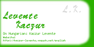 levente kaczur business card